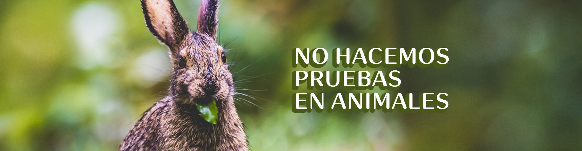 Natura gana el sello the leaping bunny, de cruelty free international |  Natura Chile